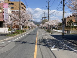 �����񍐎ʐ^